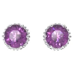 Swarovski Birthstone Stud Earrings Round Cut, February, Purple, Rhodium Plated 12 Swarovski Birthstone Stud Earrings Round Cut, February, Purple, Rhodium Plated -Jewelry Store birthstone stud earrings round cut february purple rhodium plated swarovski 5615517 4