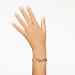 Swarovski Elegance Of Africa Bracelet Mixed Cuts, Brown, Gold-tone Plated